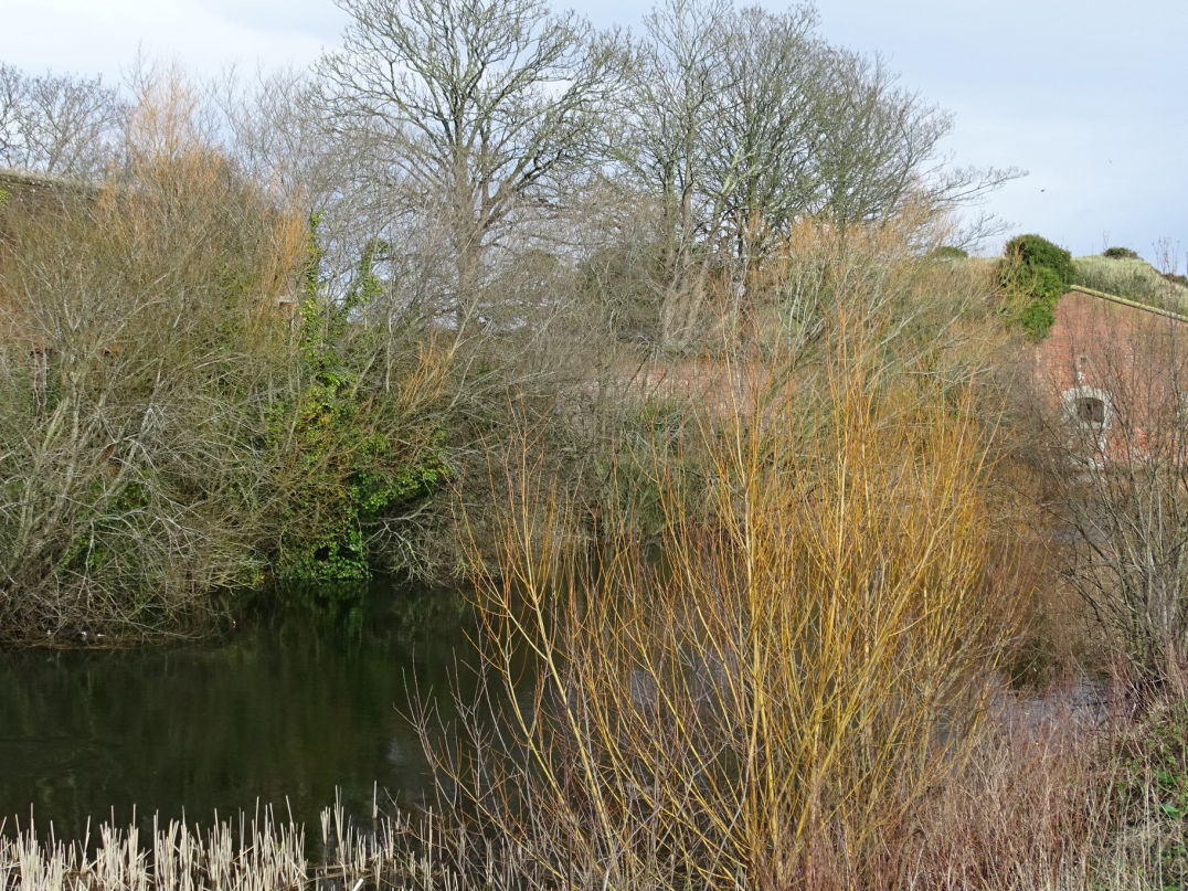 Fort Brockhurst 2021